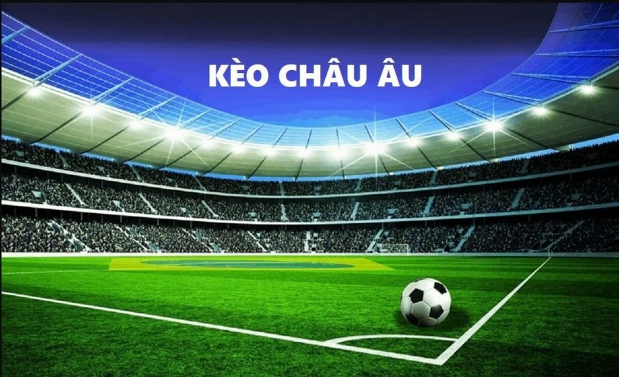 Hướng dẫn cụ thể cách tính tiền kèo cược Châu Âu